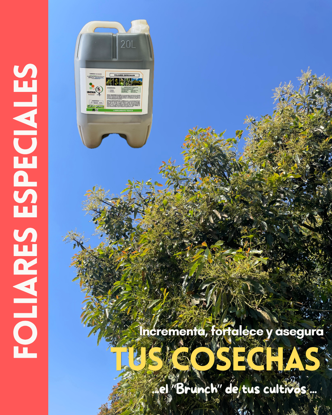 Foliares Especiales (Garrafa de 20 Lts.)